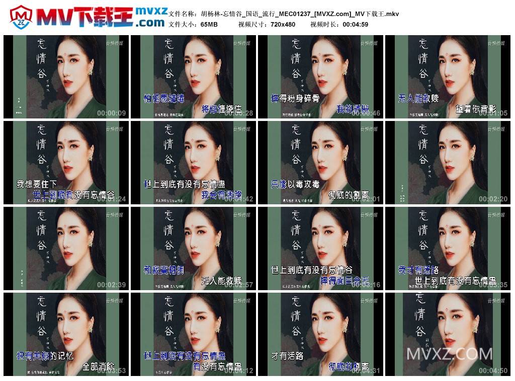 胡杨林-忘情谷_国语_流行_MEC01237